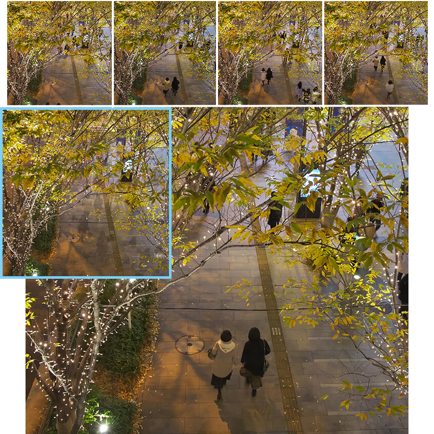 SILKYPIX Developer Studio 11 Pro - Image 8