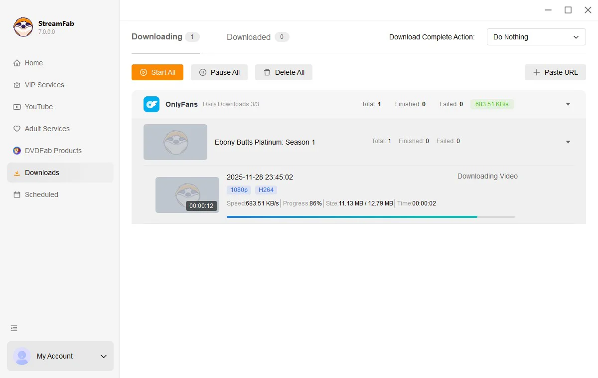 StreamFab OnlyFans Downloader Windows - 2-Jahres-Lizenz - Image 10