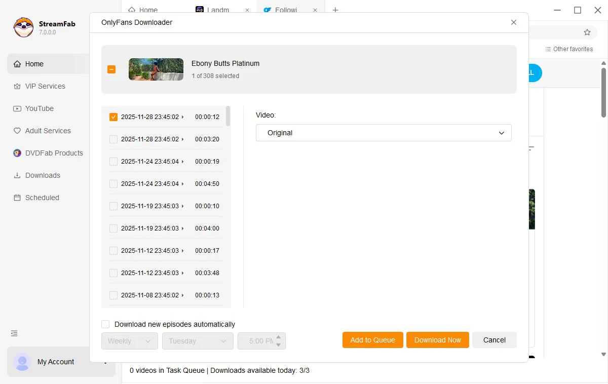 StreamFab OnlyFans Downloader Windows - 2-Jahres-Lizenz - Image 7