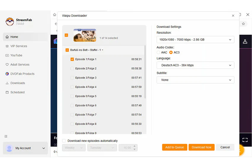 StreamFab WaipuTV Downloader - 2-Jahres-Lizenz - Image 8