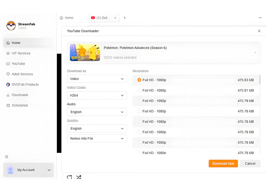 StreamFab YouTube Movies Downloader - 2-Jahres-Lizenz - Image 9