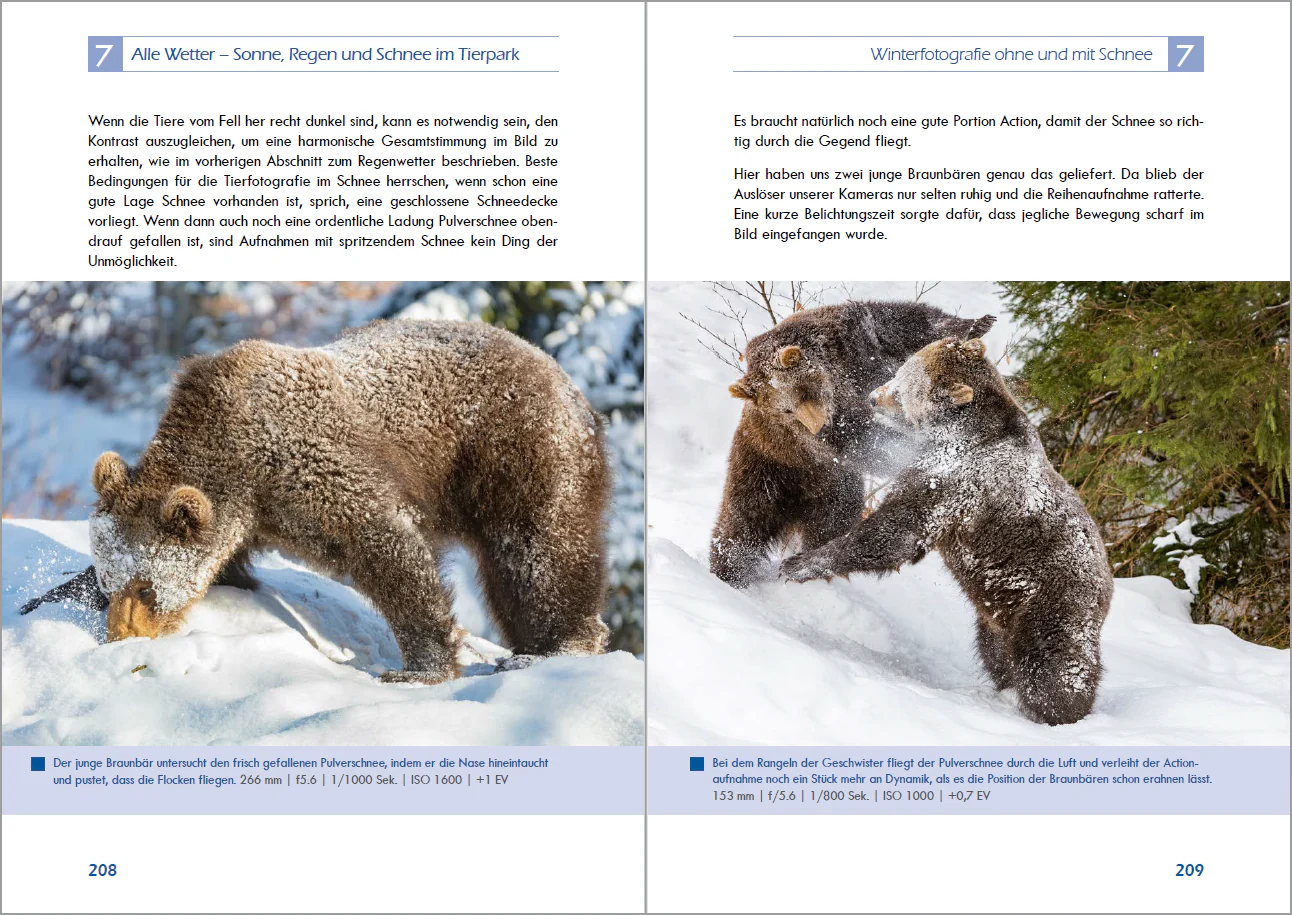 Tiere im Zoo fotografieren - Image 6