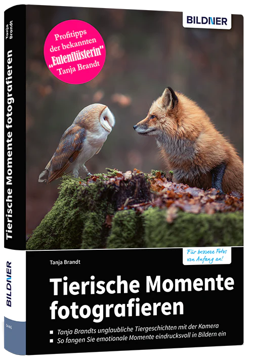 Tierische Momente fotografieren