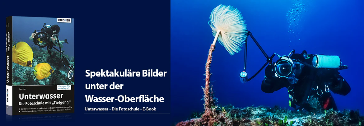 Unterwasser - Die Fotoschule mit Tiefgang - Image 2