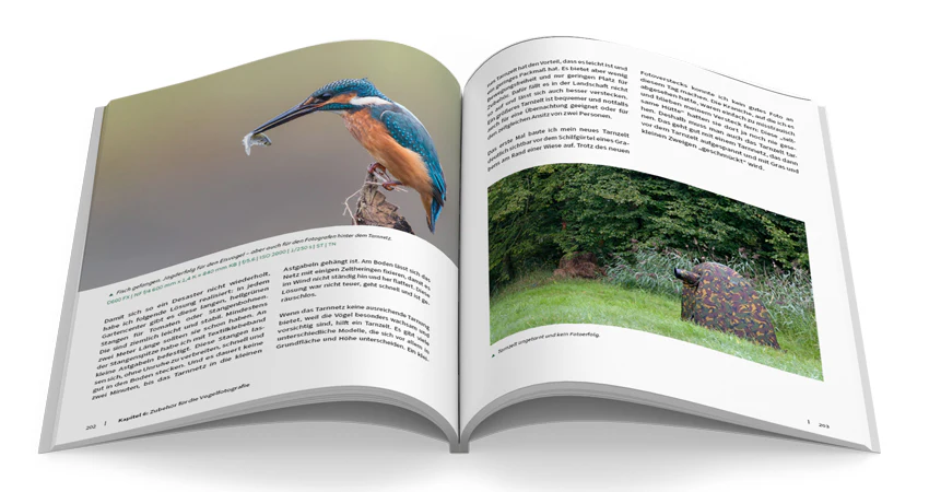 Vögel fotografieren - Image 8
